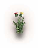 growing-item-img